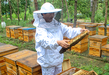 自有基地，建立蜜源可追溯化體系